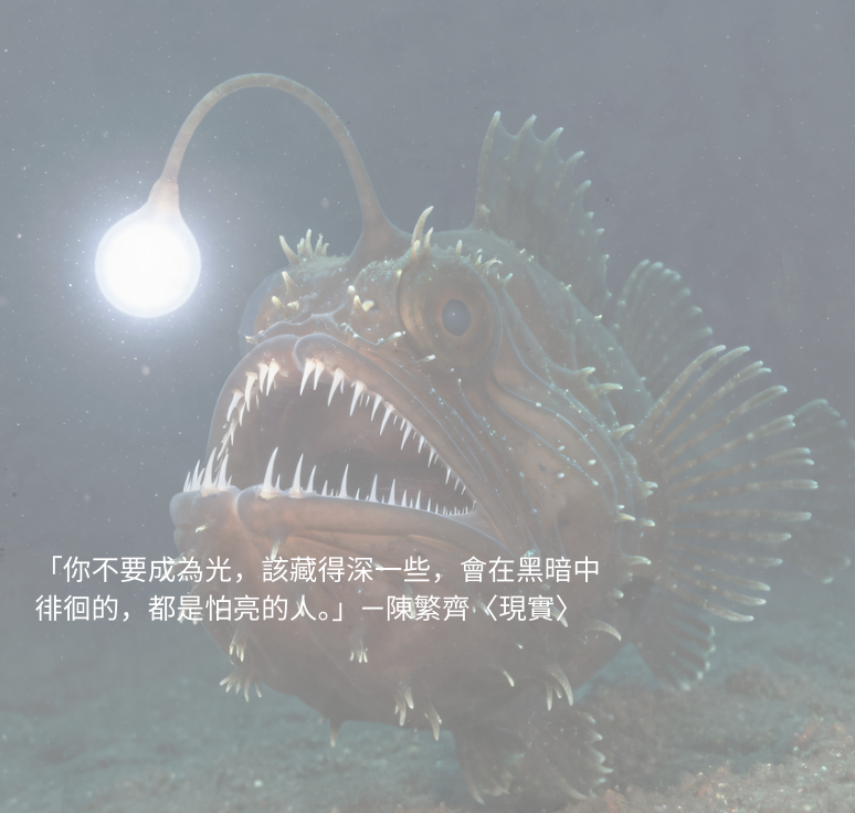 傳播敘事：深海魚