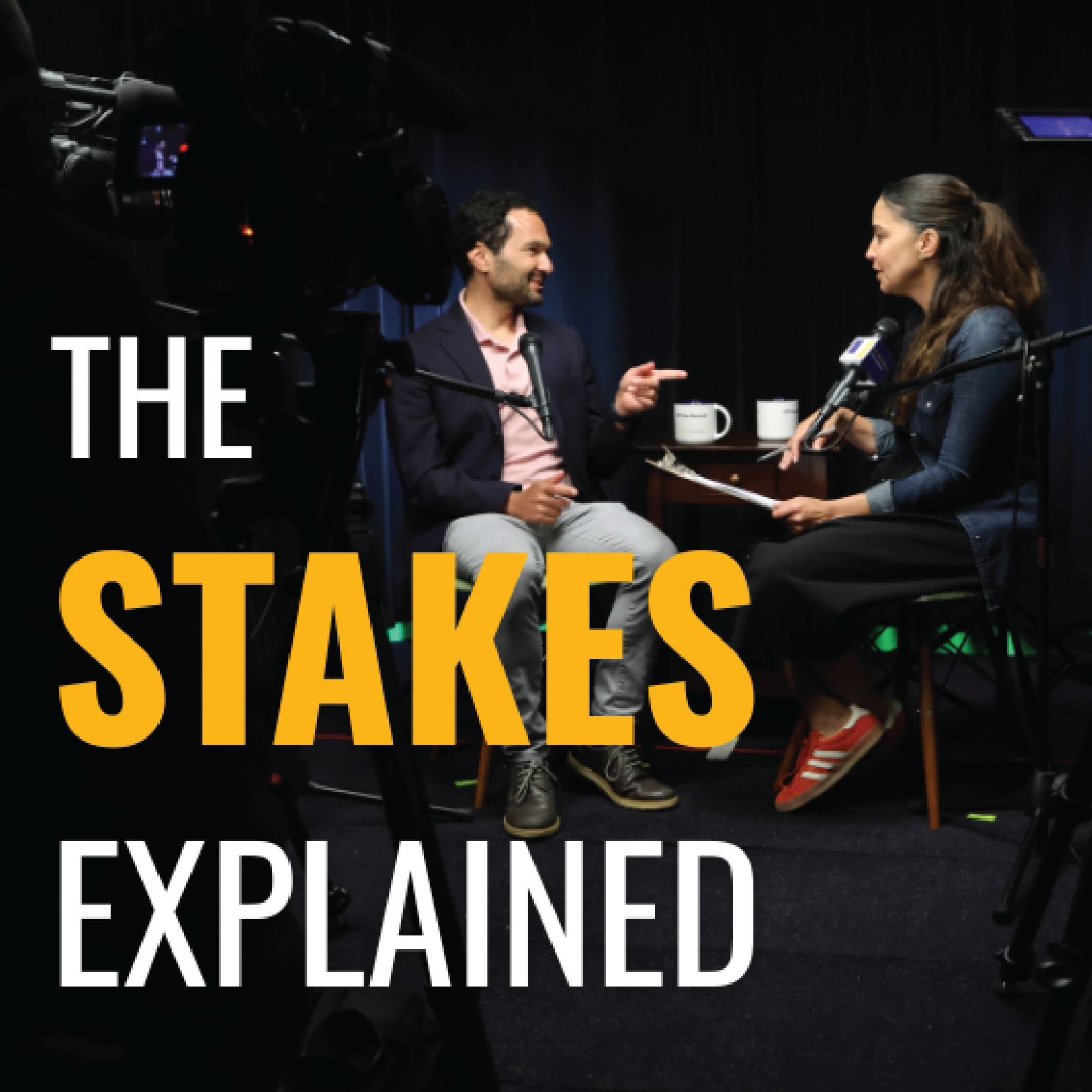 the-stakes-explained-website